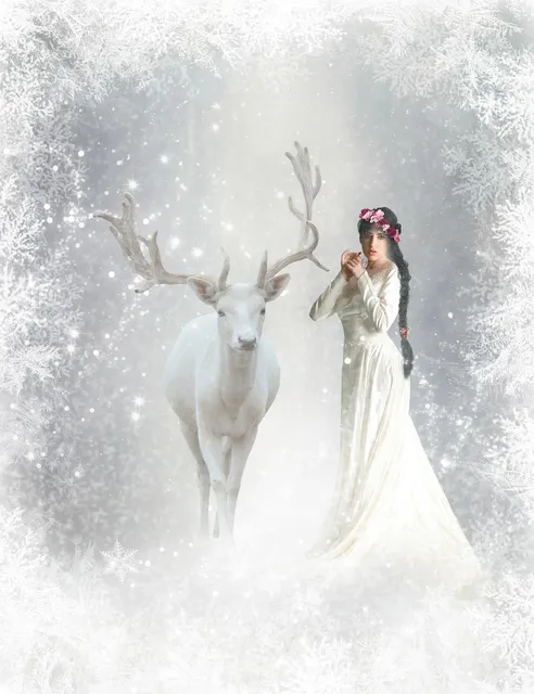 Dream
<small>Come True</small> Image