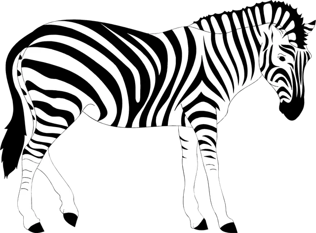 Stripe